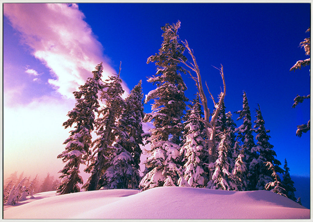 canvas_frame