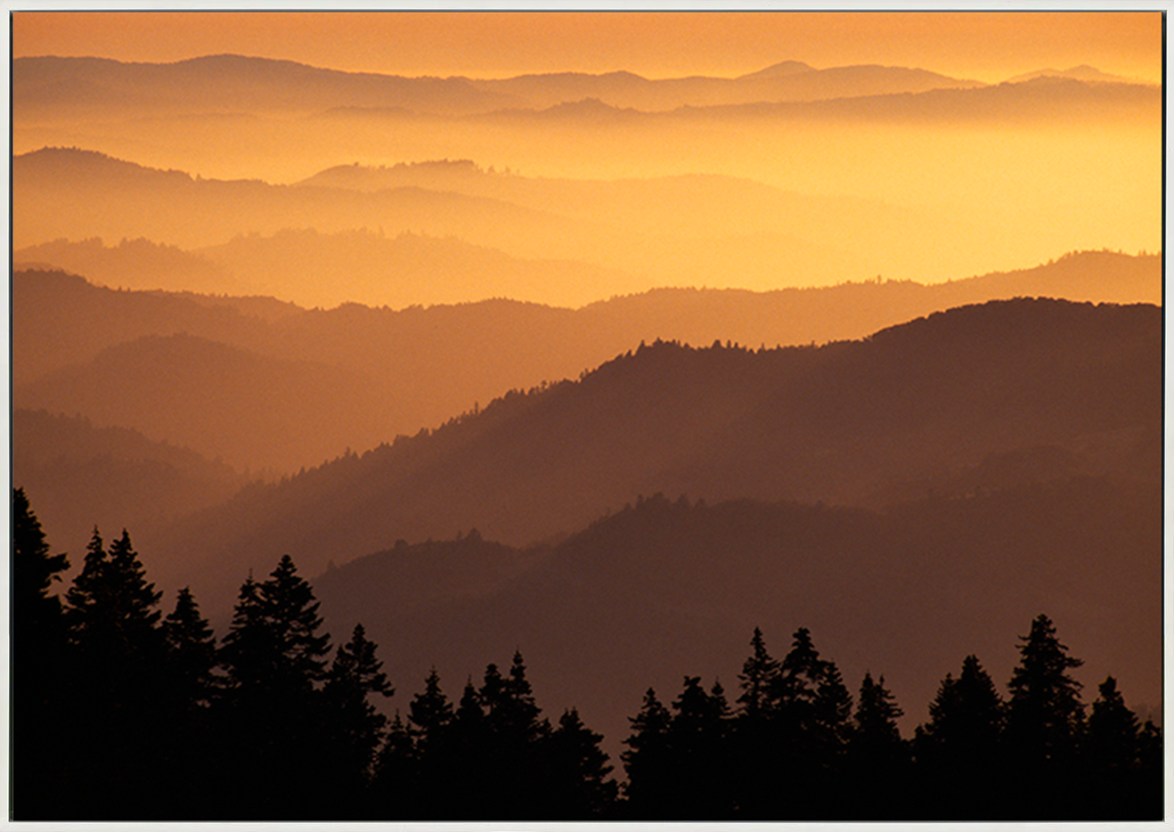 canvas_frame