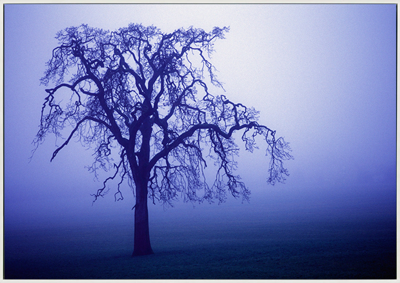 canvas_frame