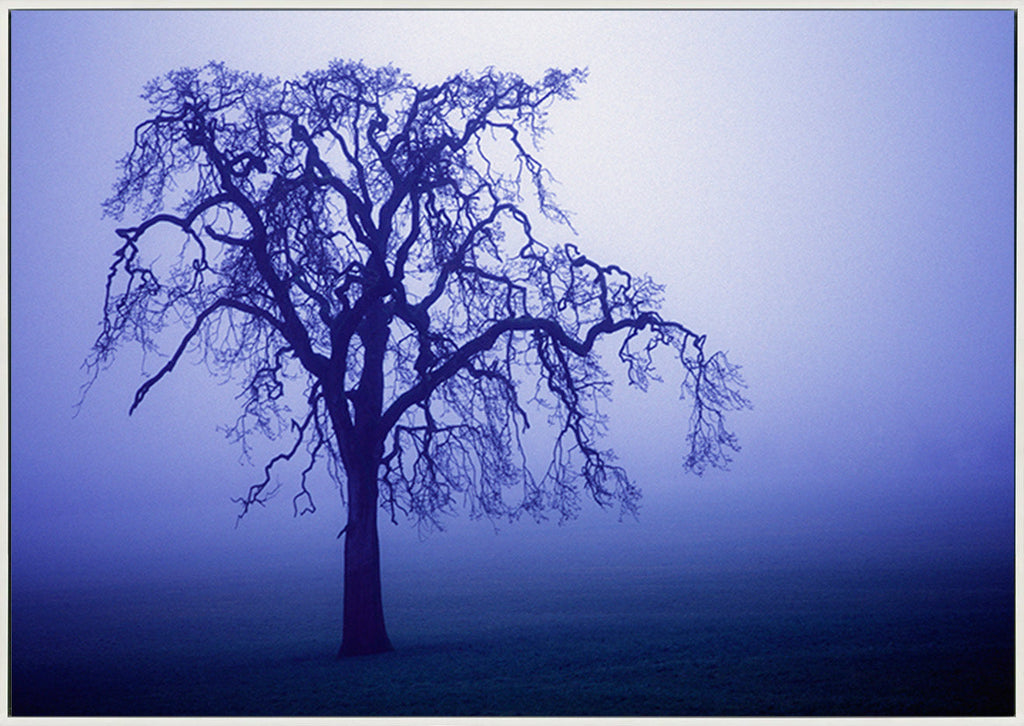 canvas_frame