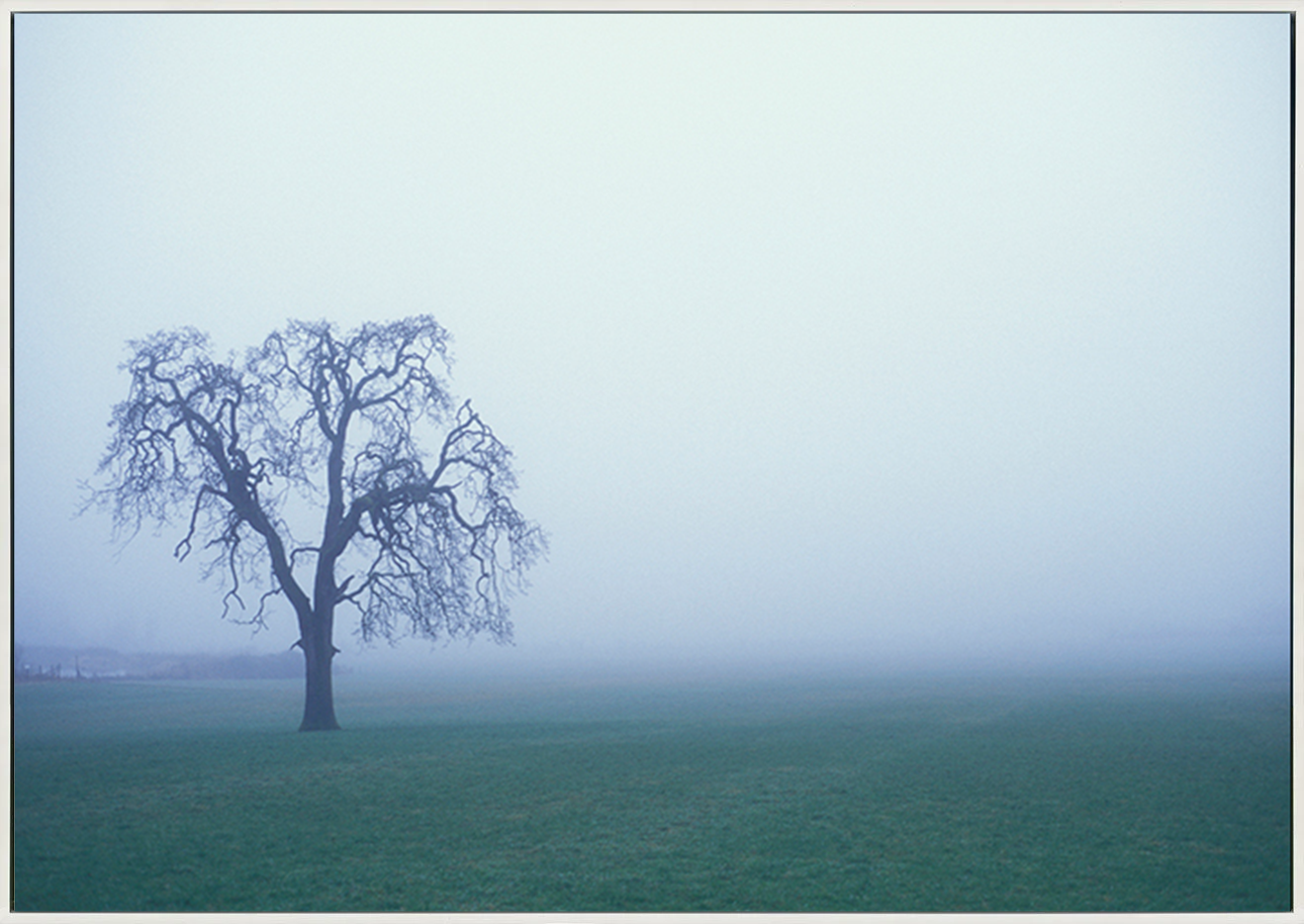 canvas_frame