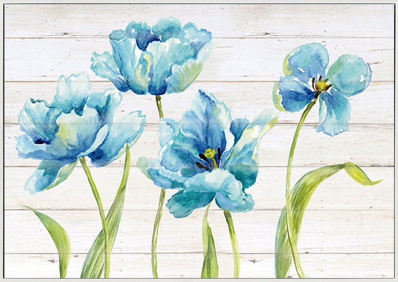 canvas_frame