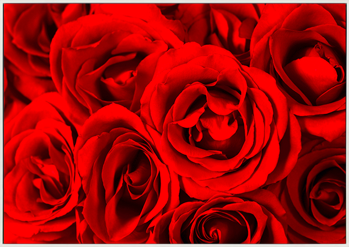 canvas_frame