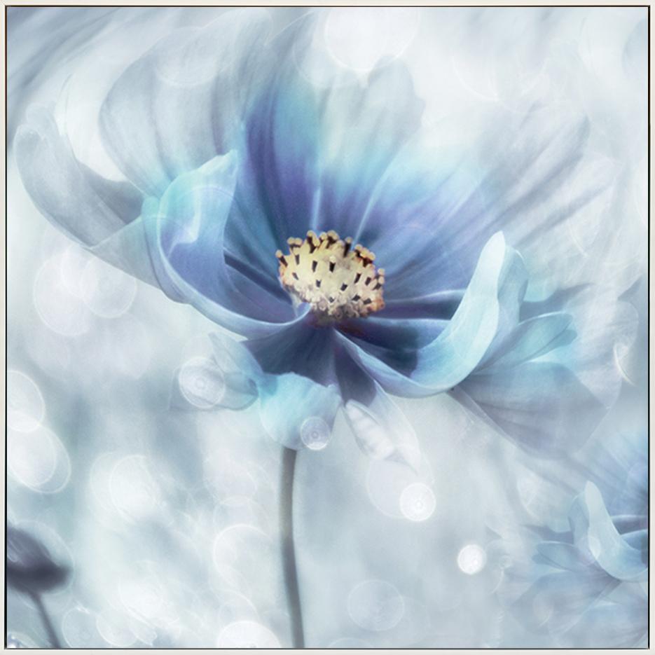 canvas_frame