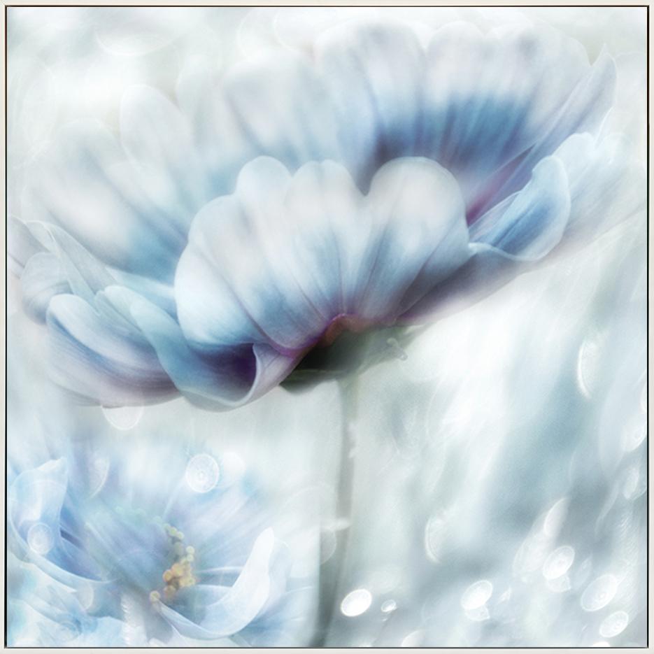 canvas_frame