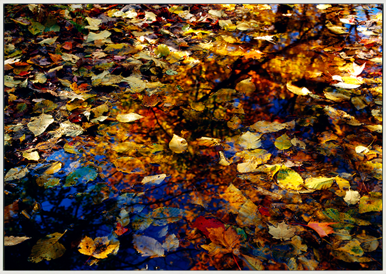 canvas_frame