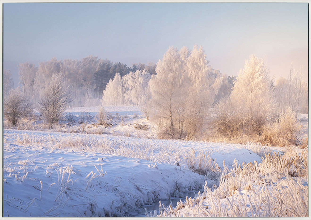 canvas_frame