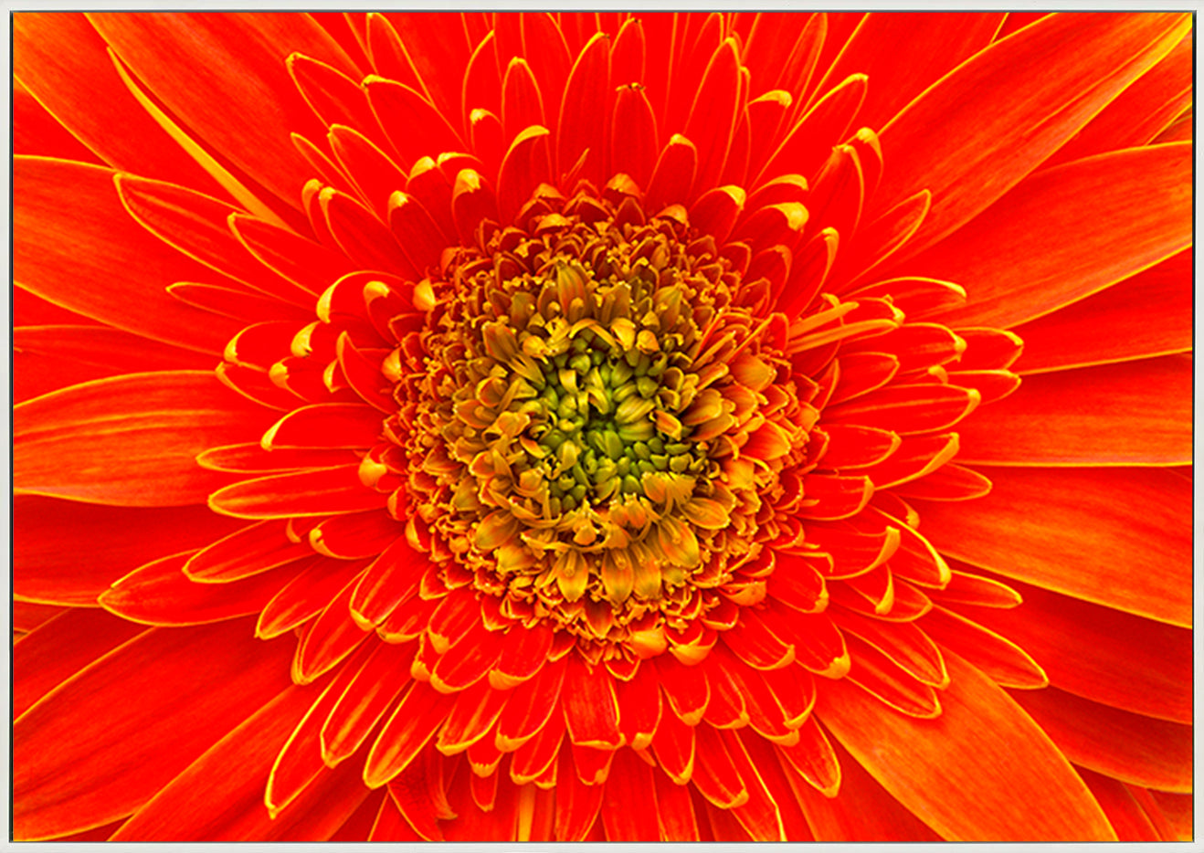 canvas_frame