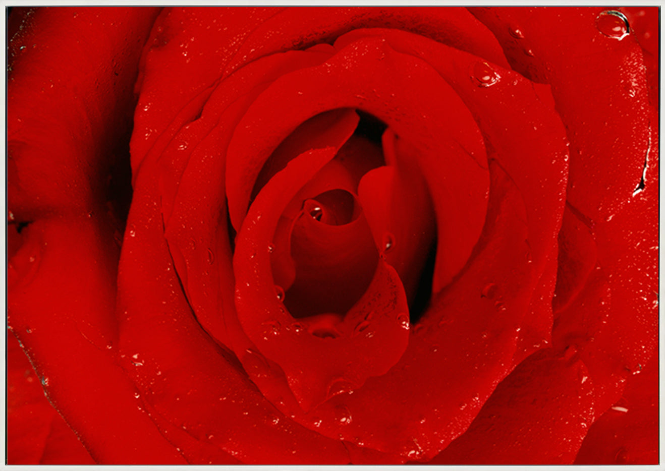 canvas_frame