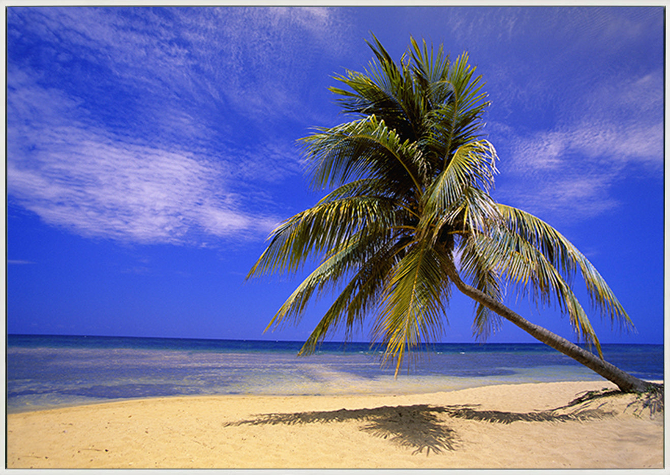 canvas_frame