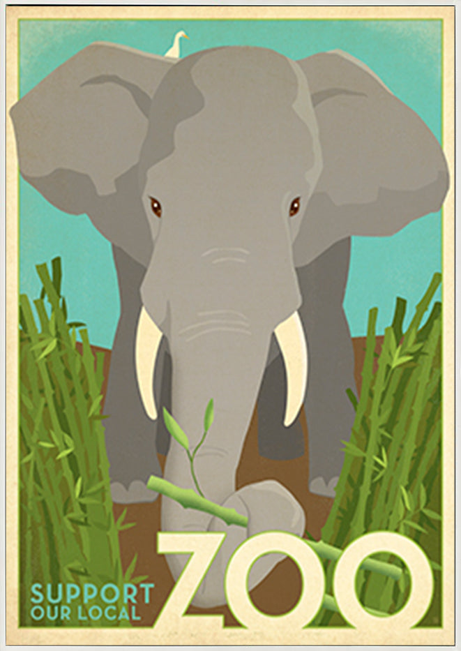 AL JOEAND116846 Zoo vintage elephant - ArtFramed