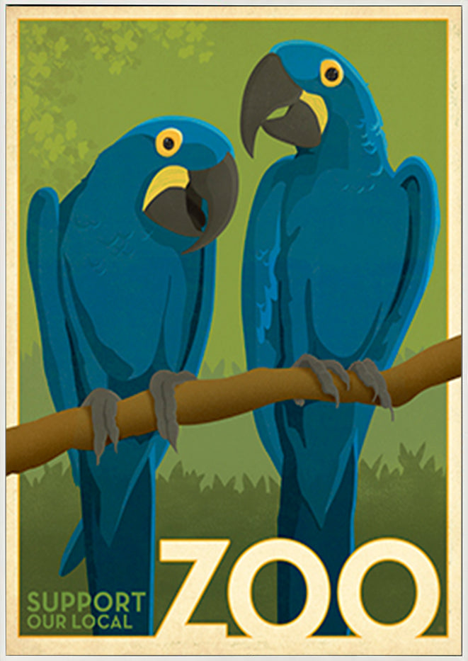 AL JOEAND116848 Zoo vintage cockatoo birds - ArtFramed