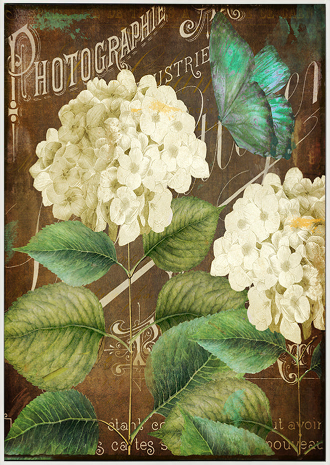 canvas_frame