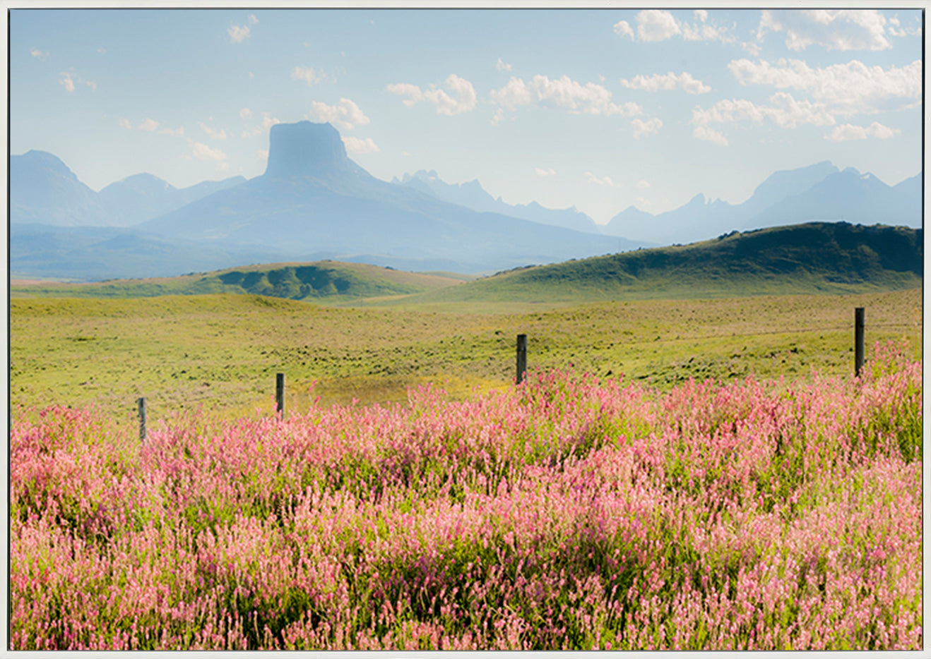 canvas_frame