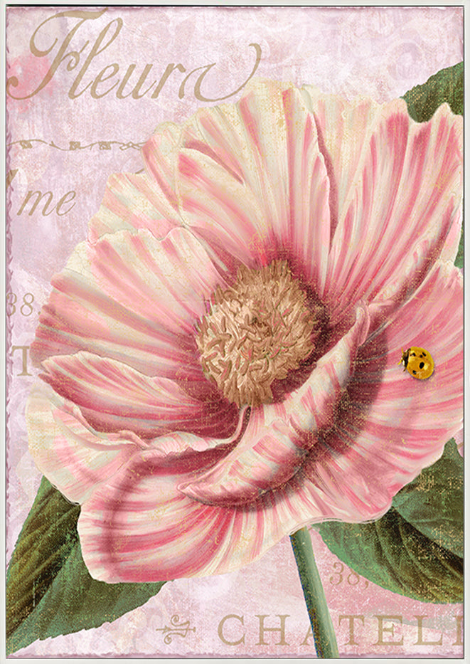 canvas_frame