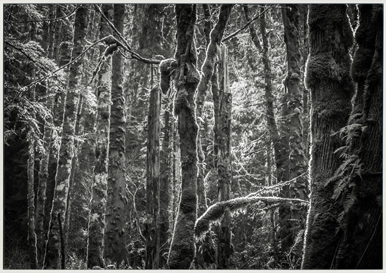 canvas_frame