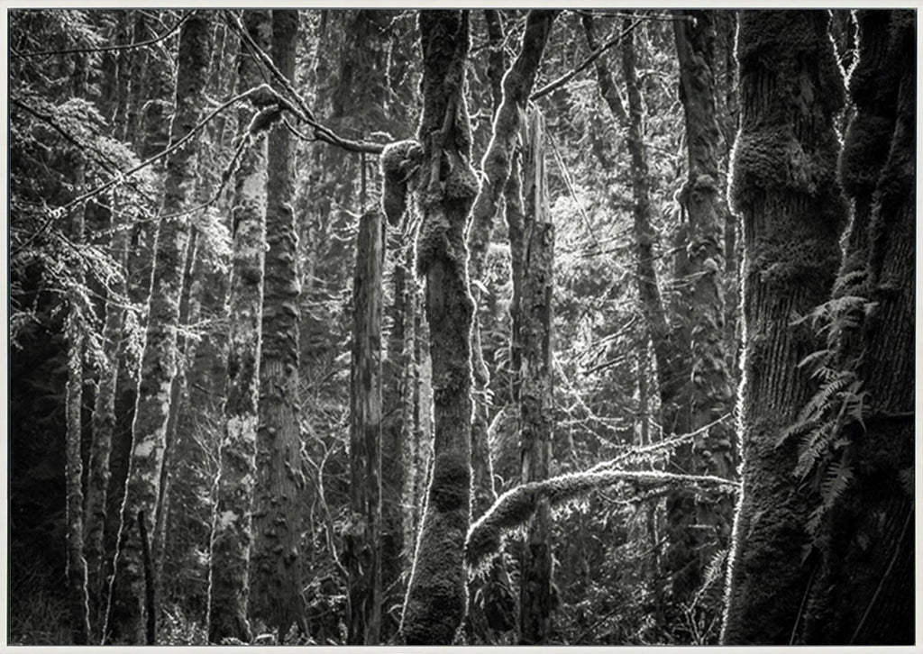 canvas_frame