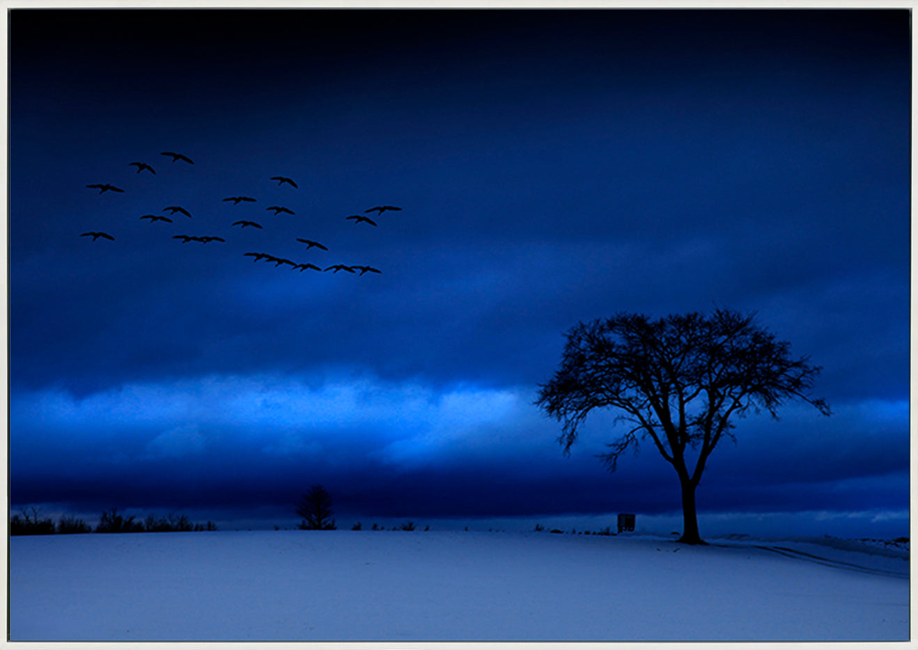 canvas_frame