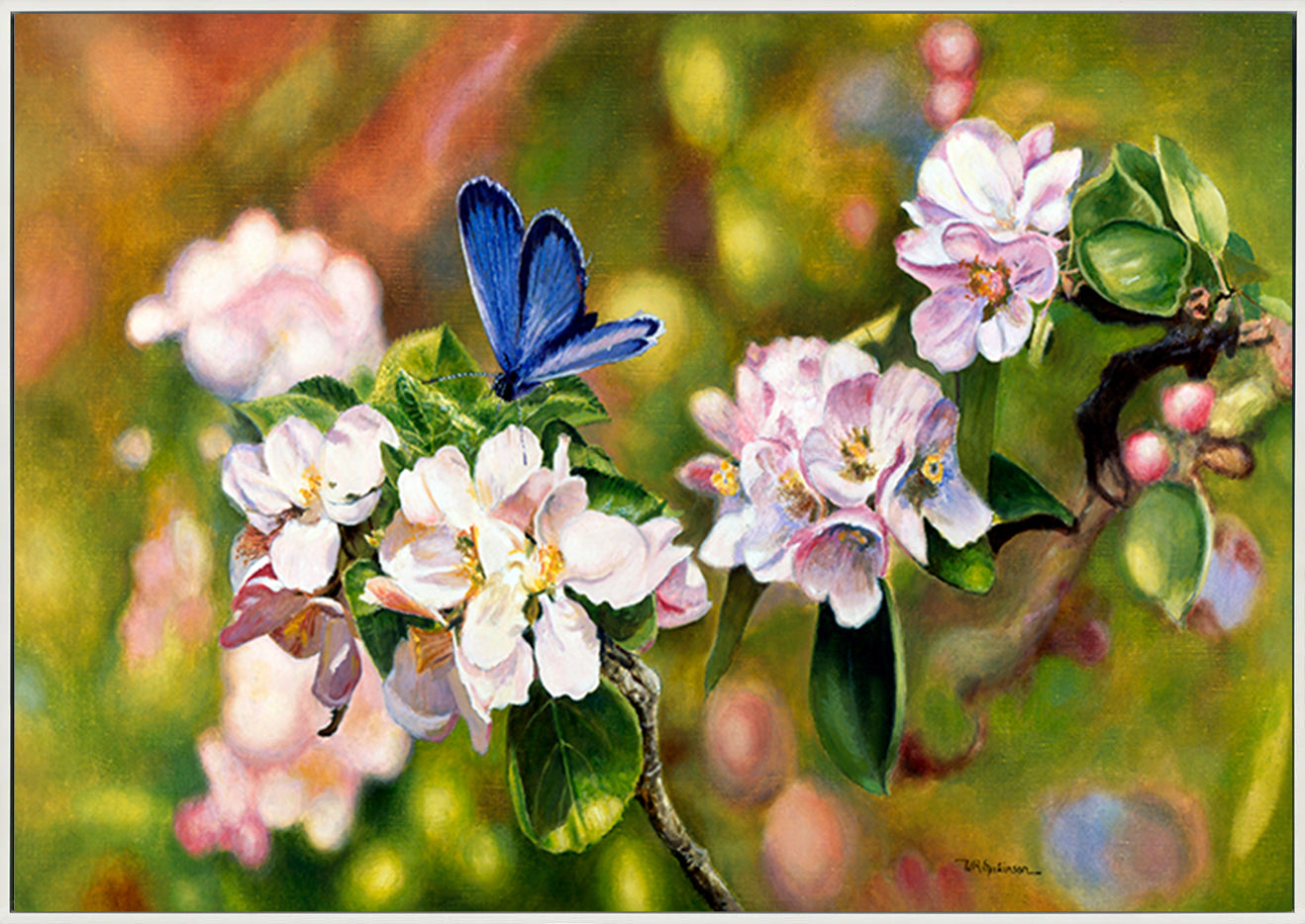canvas_frame