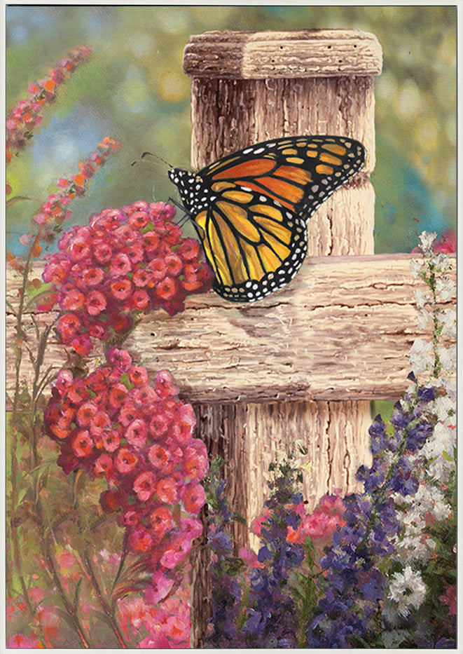 canvas_frame