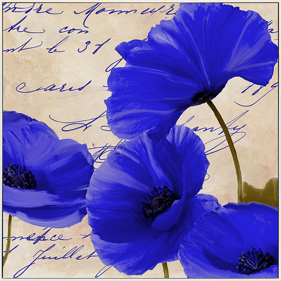 canvas_frame