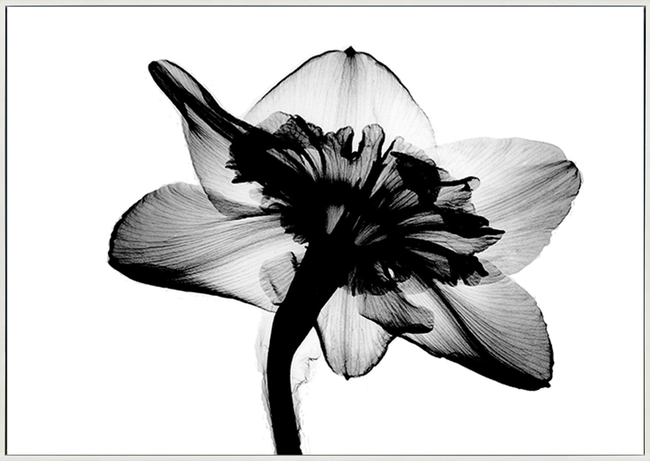 canvas_frame