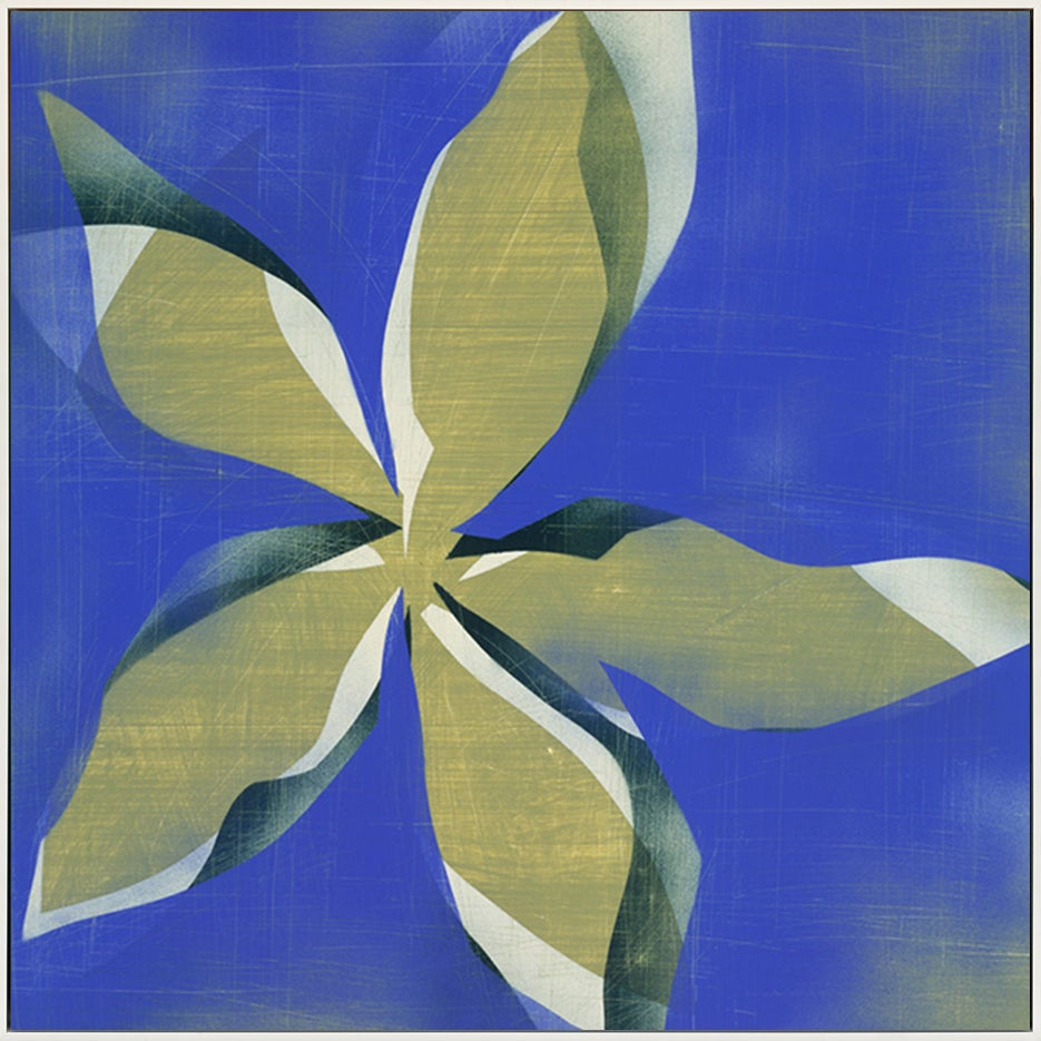 canvas_frame