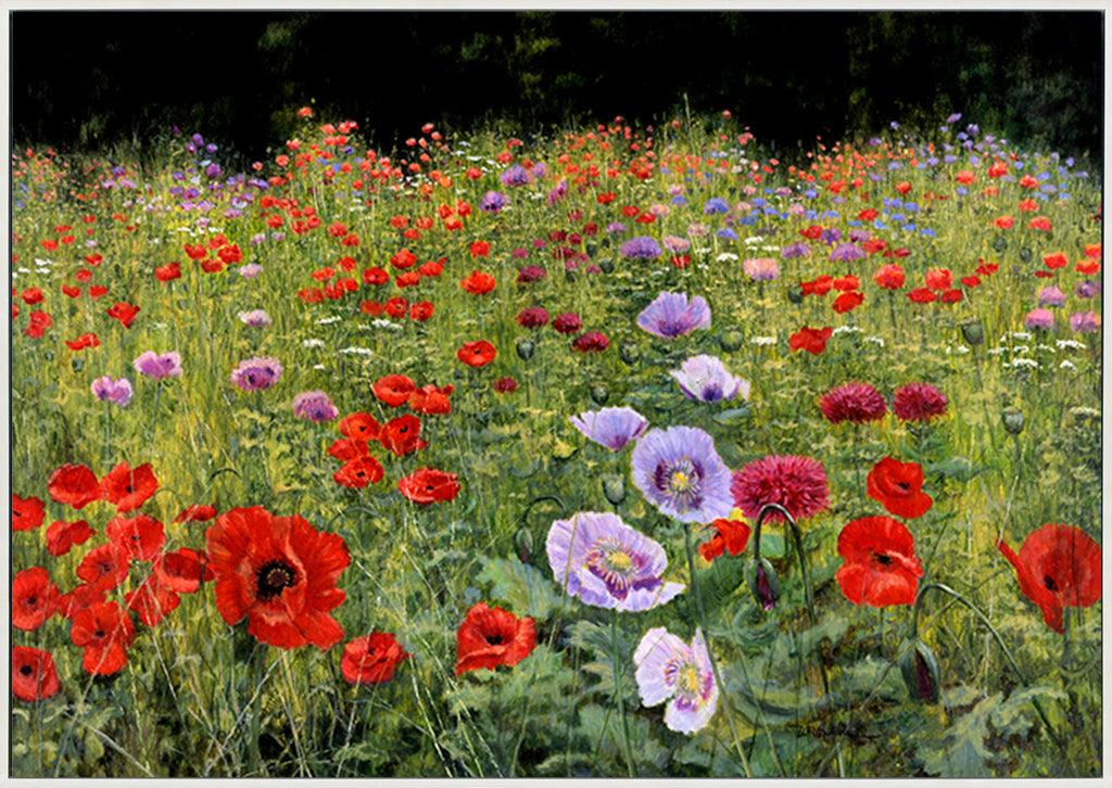canvas_frame