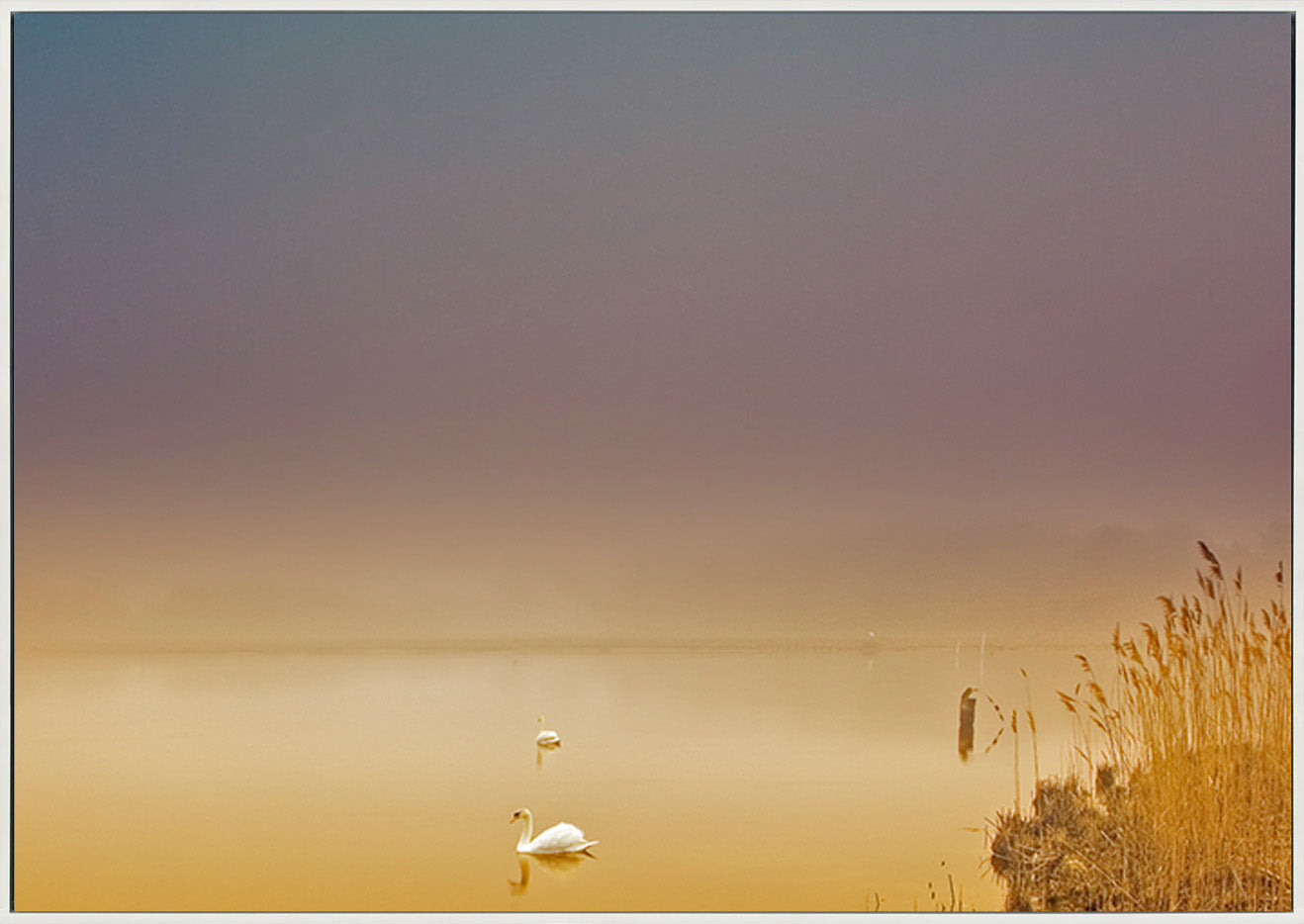 canvas_frame