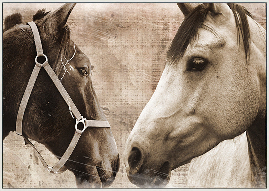 canvas_frame