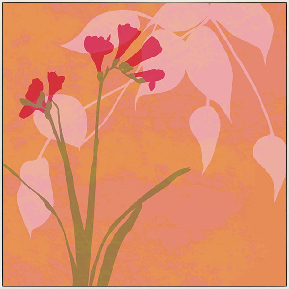 canvas_frame