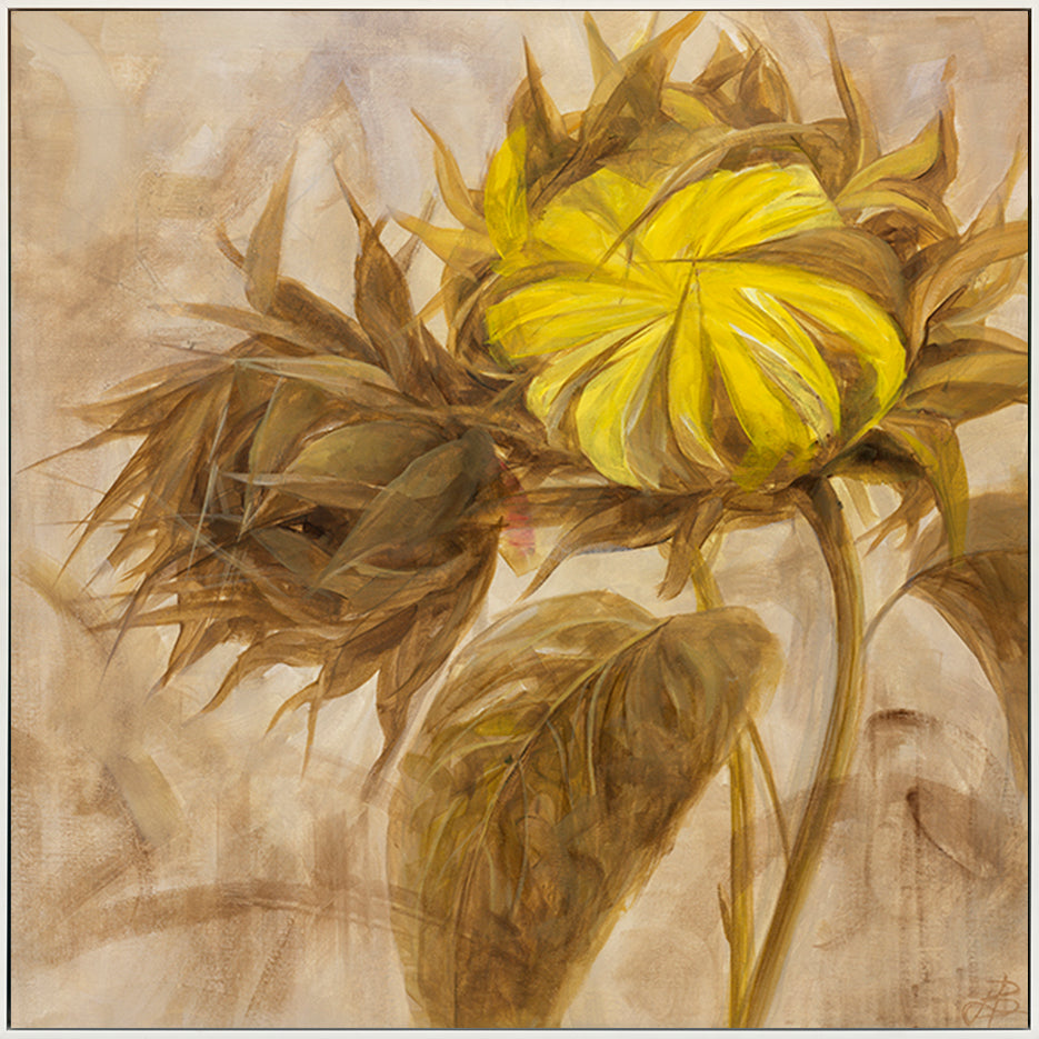 canvas_frame