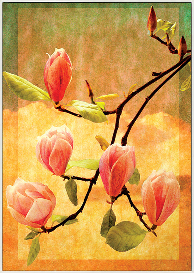 canvas_frame