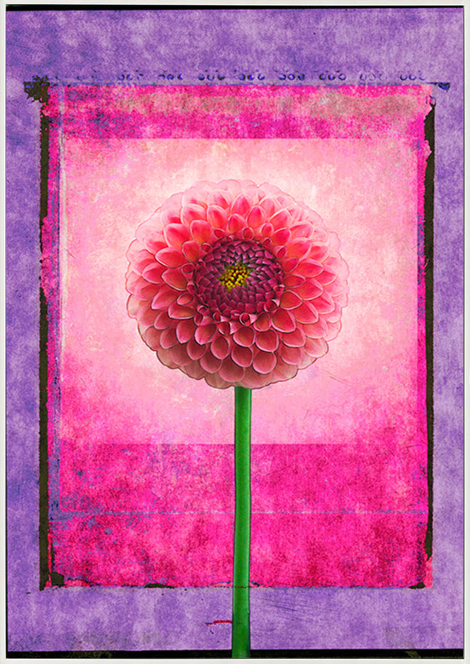 canvas_frame