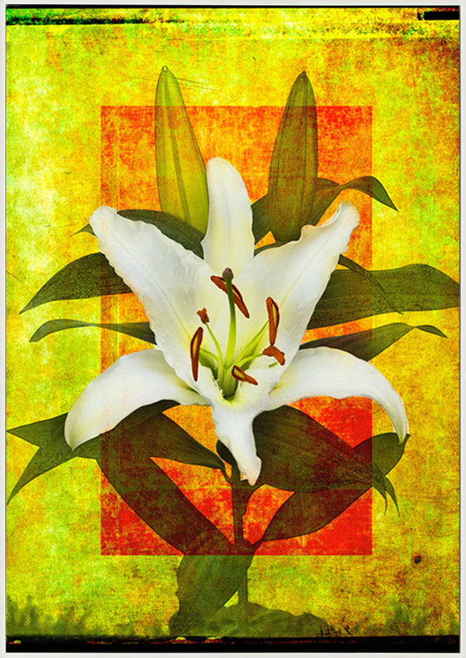 canvas_frame