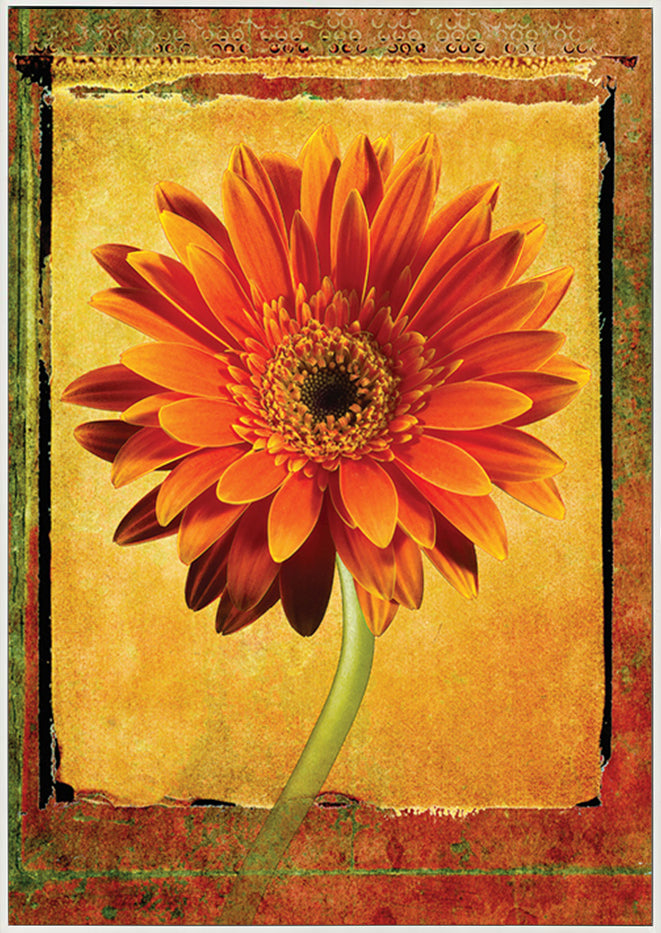 canvas_frame