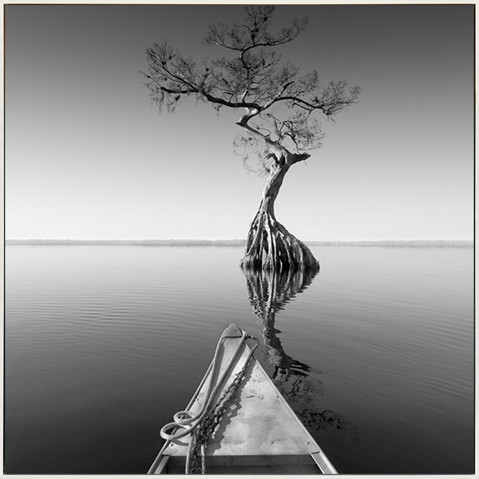 canvas_frame