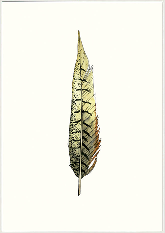 canvas_frame