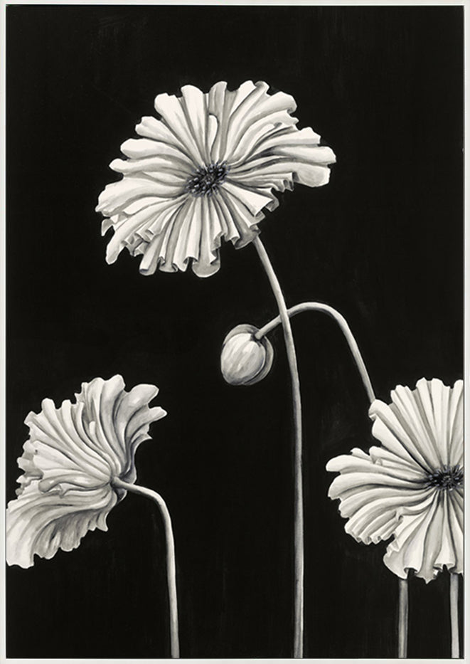 canvas_frame