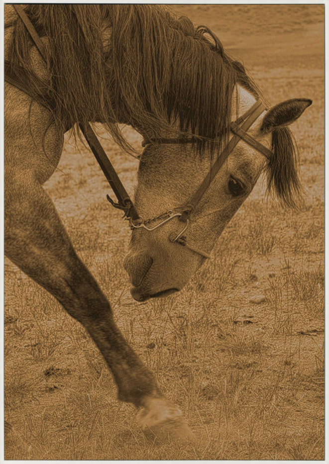 canvas_frame