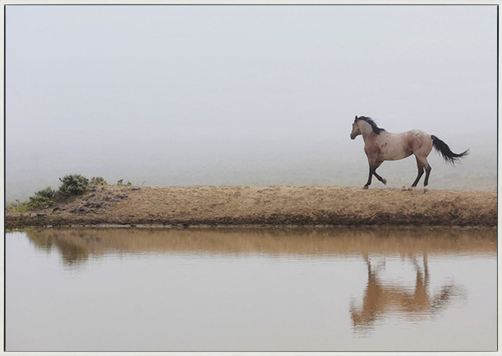 canvas_frame