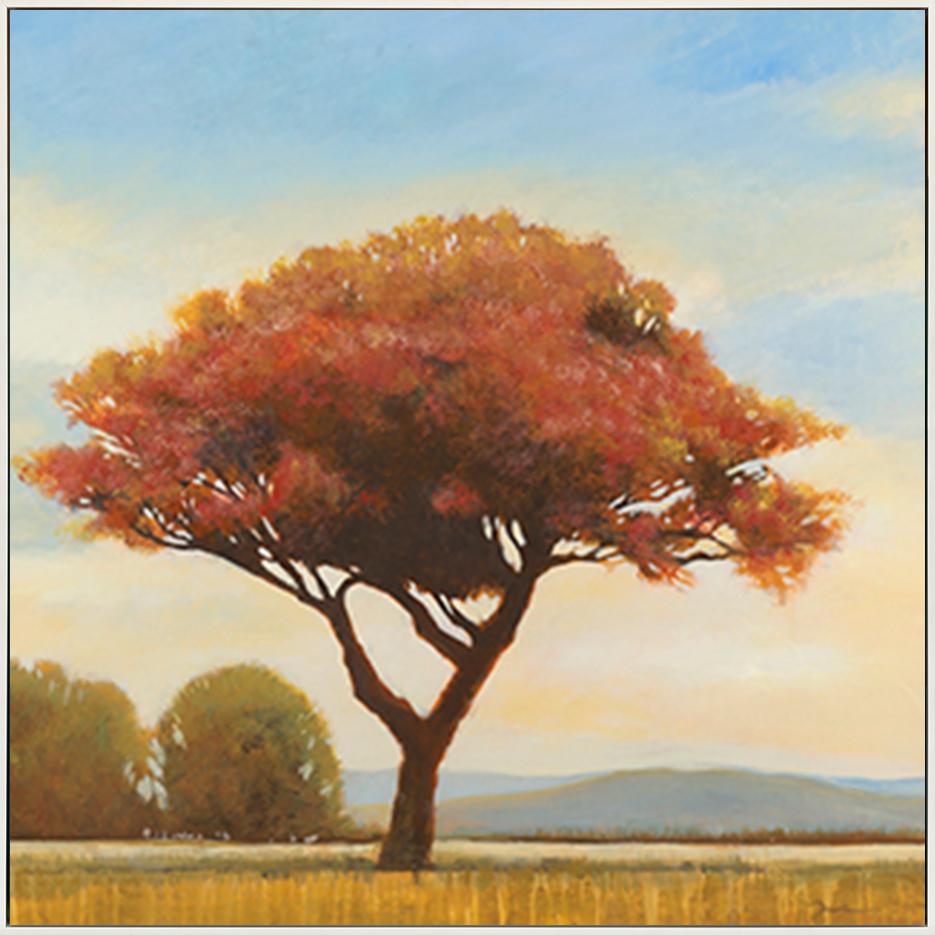 canvas_frame