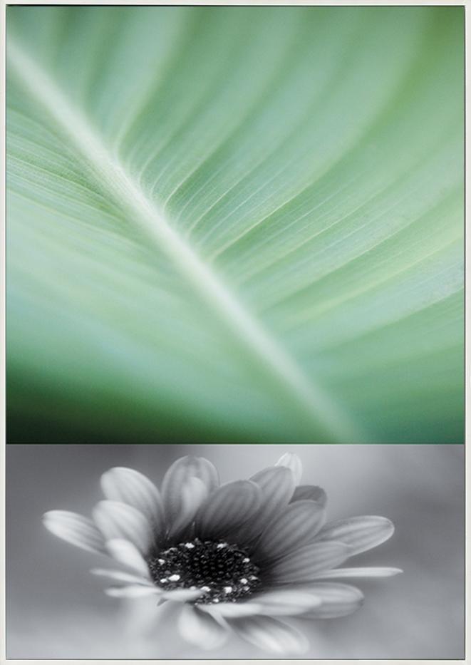 canvas_frame