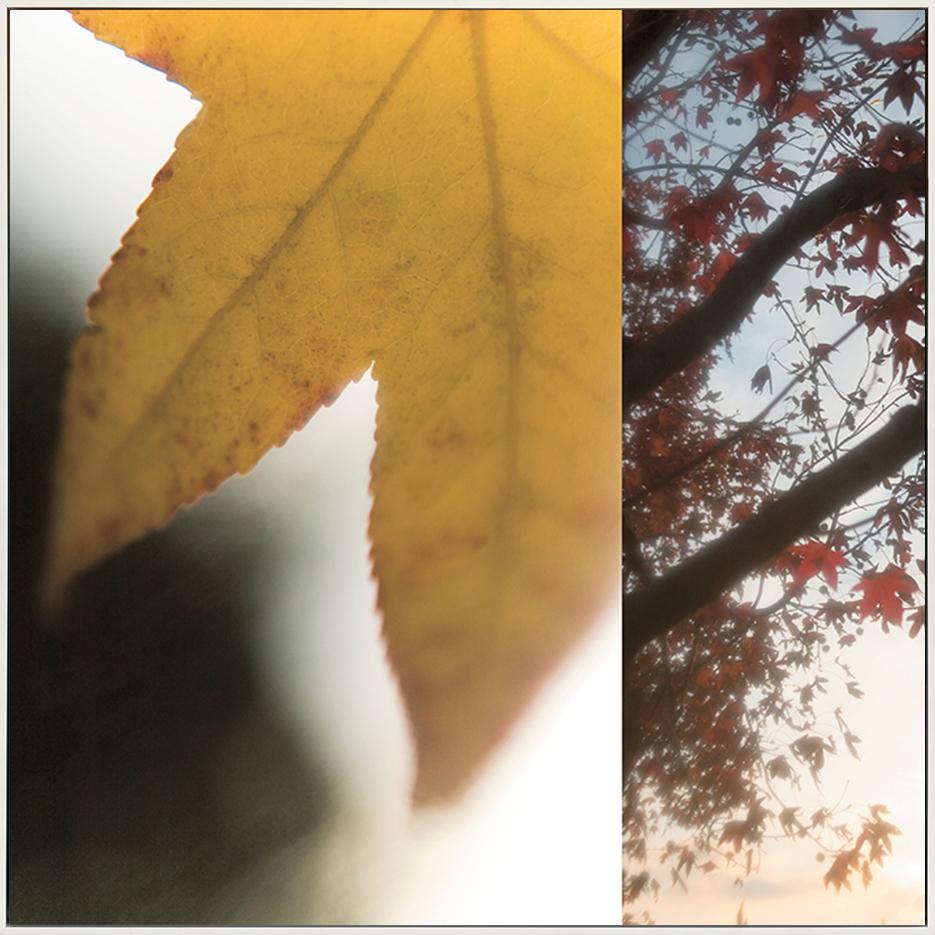 canvas_frame