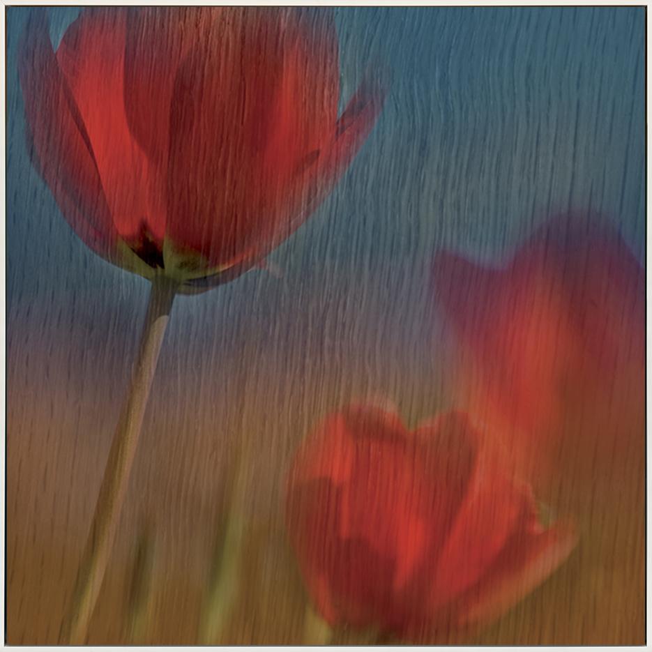 canvas_frame