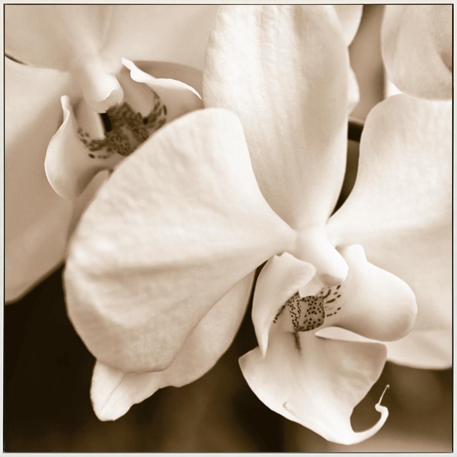 canvas_frame