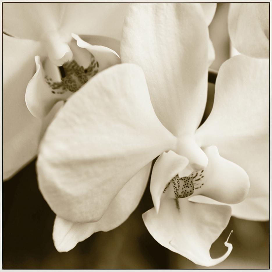 canvas_frame
