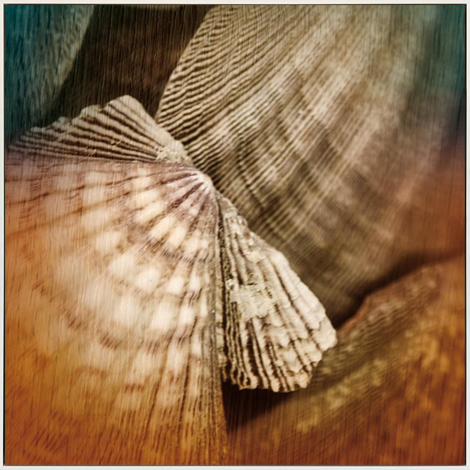 canvas_frame