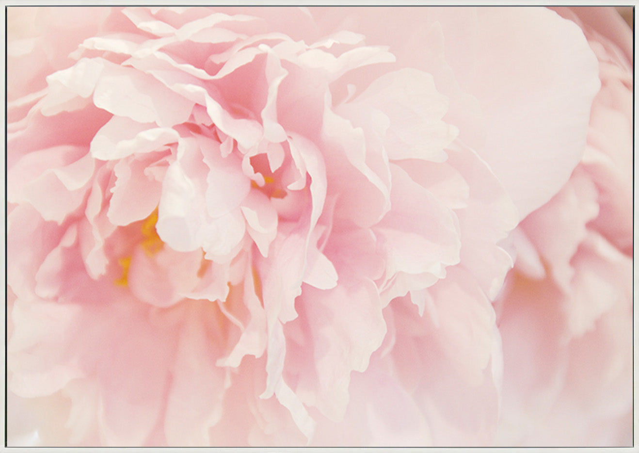 canvas_frame