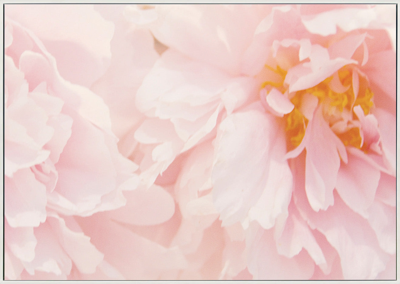 canvas_frame